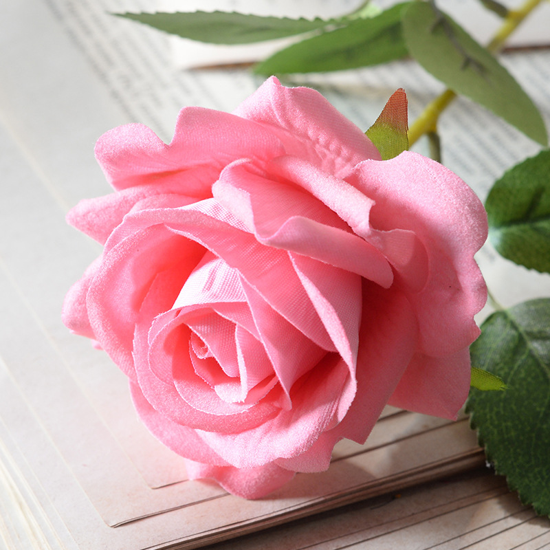 Aisha rose deep pink