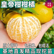 һ�����l���ڏV���ʵ۸̘����ϱ������Լ޽����Ա�Ƥ�o�Ѹ��ٽ���