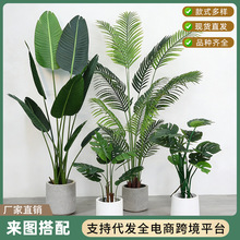 �羳���W���ͷ���Gֲ�͏d��������b������˽�ɢβ���٘����