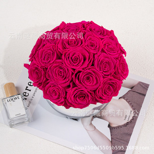 ���������l�yɫ�R������õ�廨Ģ���^����Ͱ�Y�п羳���˹��Y��