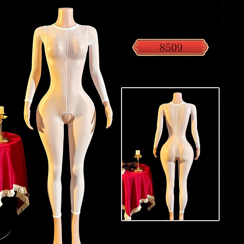 Lencería Sexy Enteriza de Manga Larga de Nailon de Perspectiva para Mujer