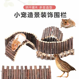 鸟笼;鸟类;其他小宠用品