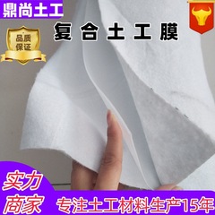 国標複合土工膜貯水池水利工事魚塘養殖防浸透膜長さ糸複合土工膜