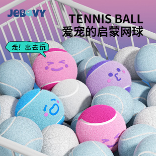 Manufacturers Supply Dog Toys Elastic Tennis with Bibi Called Pet Ball Puppy Training Pet Supplies