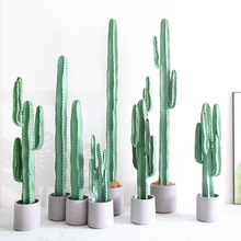 ������������������ߴ���ֲ��ٱ��W�������҃Ȉ��������b[��