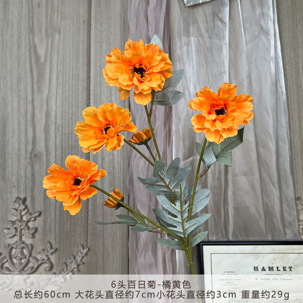 XQ 6-Head Zinnia - Màu cam