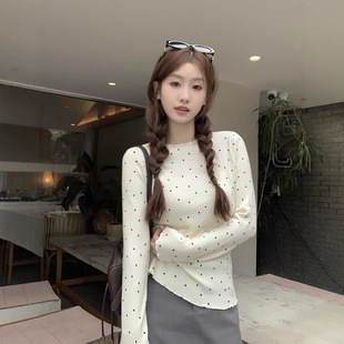 ½qľ߅pgLŮ＾2025¿ײcOӋ@