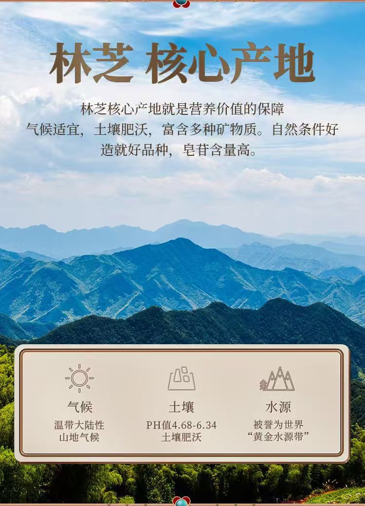 Sang Huang Mulberry Yellow Fungus Sliced 100g Bag Traditional Herbal Wellness for Middle Aged and Older Adults specifications
