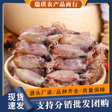 海兔干500克 海兔子 无籽乌贼 小墨鱼仔笔管鱼乌子鱿鱼干海鲜干货