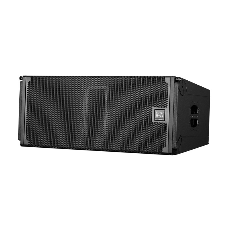 Equipo de sonido de escenario doble altavoz de matriz lineal de 10 pulgadas sistema de amplificación de sonido de altavoz de alta calidad