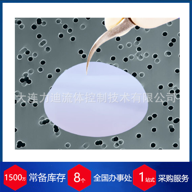 代理比利时it4ip径迹刻蚀膜过滤器ipPORE™1000M06/931N011/00