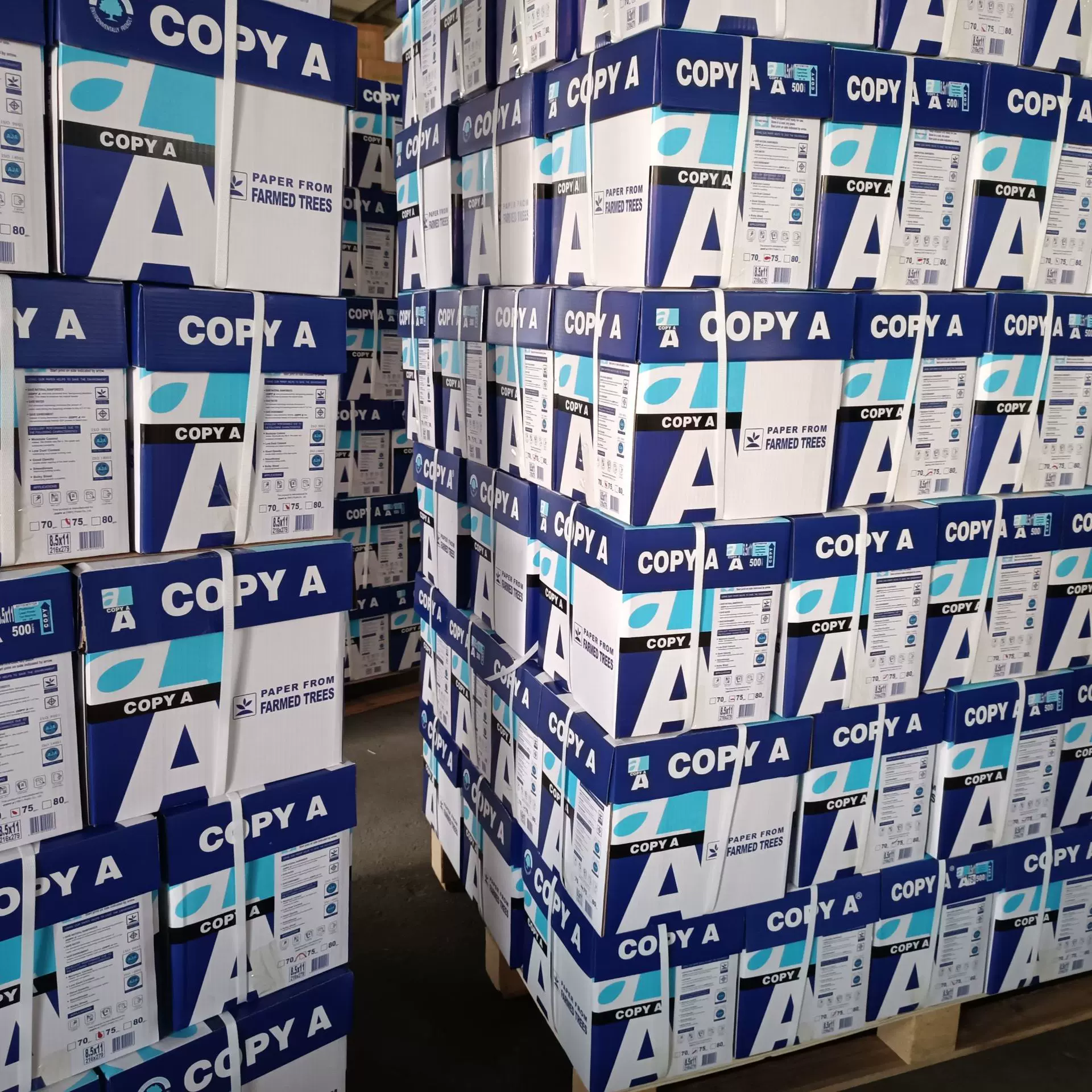 外贸出口美标75G/500张 工厂直发南美智利木浆复印纸70克纸加工