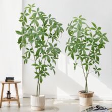 �٘�lؔ��Gֲ�辰����ֲ��S��ֱ������䄓��ҾӔ[����������