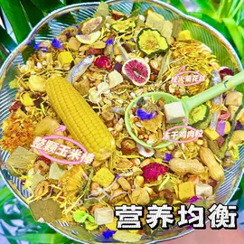 盆栽;鱼缸;猫猫干粮