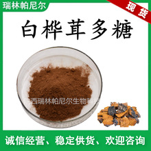 白桦茸提取物 多糖50% 桦褐孔菌菌丝体萃取