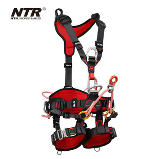 NTR/���ؠ� �������I ARBORIST/��ˇ�� �ʘ䎧
