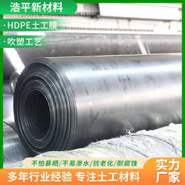 鱼塘防渗膜加厚土工膜防水布蓄水池养殖护坡专用黑色防水土工膜