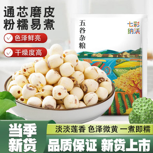 ȥоɏ�Ӹ�؛500g �oоɏ�Ӱ�ɏ���خa���rĥƤ����ɏ�ٺϸ��L�r