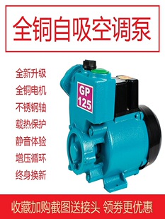 ����GP125W���{�Æ���220v�����ùܵ�ˮ��������ȫ�Ԅ�С�ͳ�ˮ�C