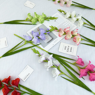 �羳��Ʒ�����֧���m��c�Ҿ��bٻ��Ƶ껨ˇ�[���߼��з��滨