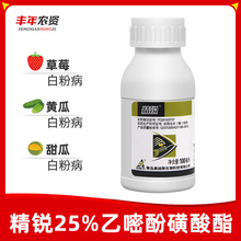 �W��˹���J25%���׷ӻ����� ��ݮ���������S�ϰ׷۲�������100ml