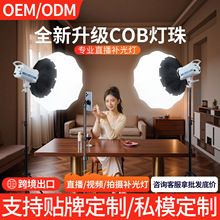 跨境300W直播间补光灯主播专用摄影灯业直播间球形灯柔光灯摄影灯