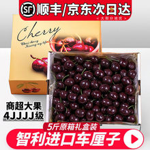 �����M��܇�������r���]5��ˮ���Y�Ю�������10�ЋD�����4j5j3j