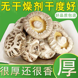 �㹽��؛��؛���_����Ģ��������������ɢ�b���خa�o�������