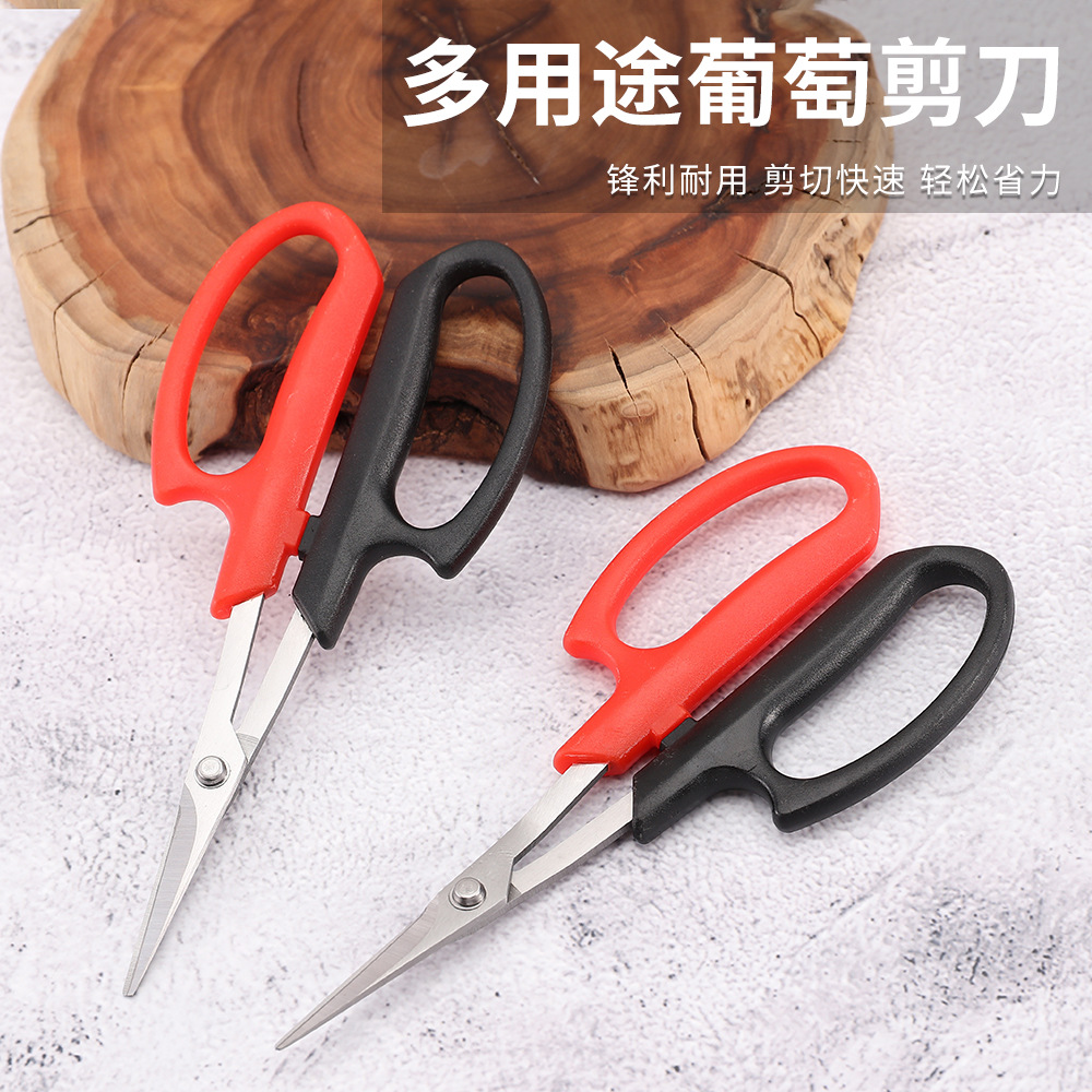 厂家直销现货批发不锈钢翘头直头葡萄剪稀果摘果修枝园林剪