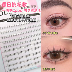 LODO洛兜新款混合式睫毛單簇分段式自然仿真女透明圓梗流沙下睫毛