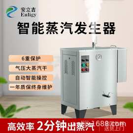 安立吉全自动电加热蒸汽锅炉小型工业熨烫商用节能省电蒸汽发生器