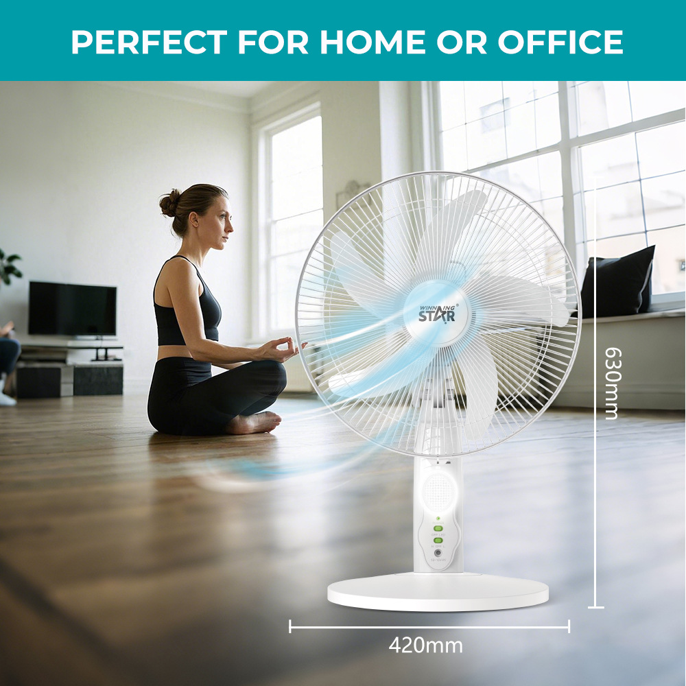 Winningstar transfronterizo exclusivamente para uso doméstico de 16 pulgadas 13W sacudiendo la cabeza con luz LED ventilador eléctrico portátil de pie