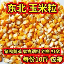24�����~�������u����������10ᄾ�����������Z�¼Z�Zι�|����