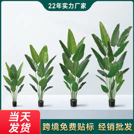 跨境旅人蕉仿真绿植盆栽客厅假绿植仿生植物装饰室内大型落地摆件