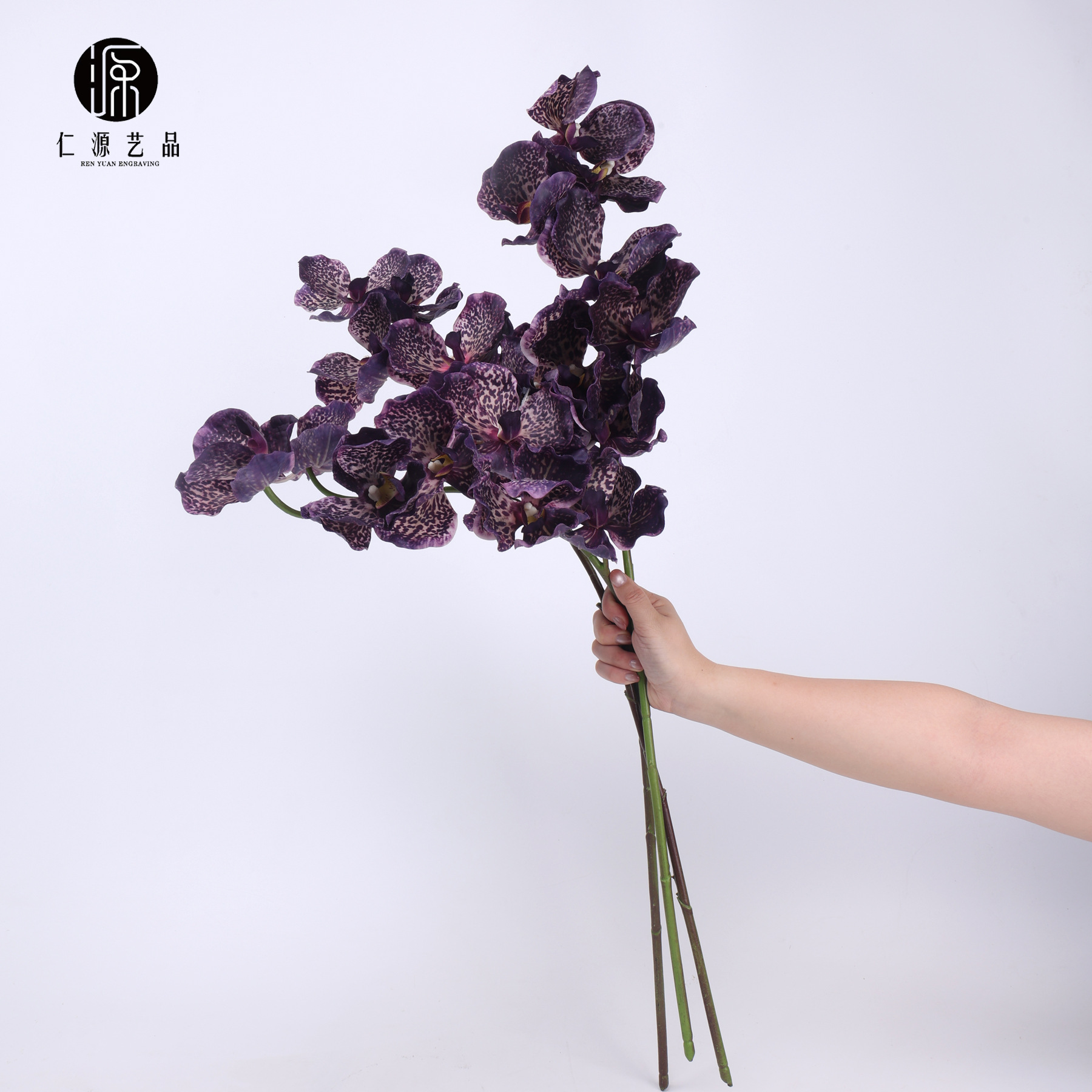 Fábrica directa de 7 orquídeas mariposa orquídeas