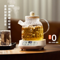 小南瓜新款家用玻璃养生壶花茶壶多功能分体养生杯【BG-08】