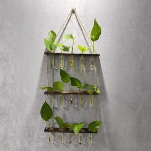 Cross-border Creative ins Hydroponic Vase Wall Hanging Green Rose Glass Container Wall Hanging Wooden Frame Small Fresh Test Tube Vase
