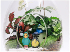 Creative egg-shaped glass bottle, succulent glass vase, micro-landscape moss bottle, diy landscaping bottle