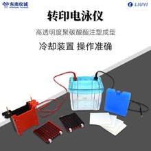 六一转印电泳仪DYCZ-40A实验室蛋白分子转印电泳槽蛋白凝胶电泳仪