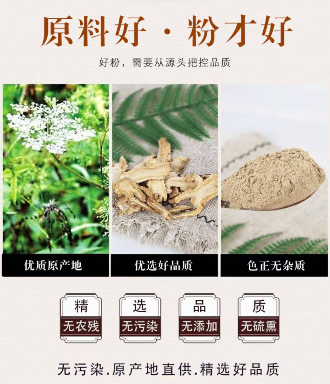 Dang Gui Powder (Angelica sinensis) — Pure Dried Food-Herb Root Powder, 500g overview