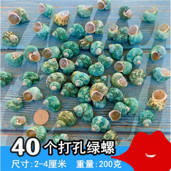 Punch 40 green snails