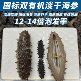 有机国标海参干货淡干海参底播辽参深海刺参传统滋补品海参礼盒