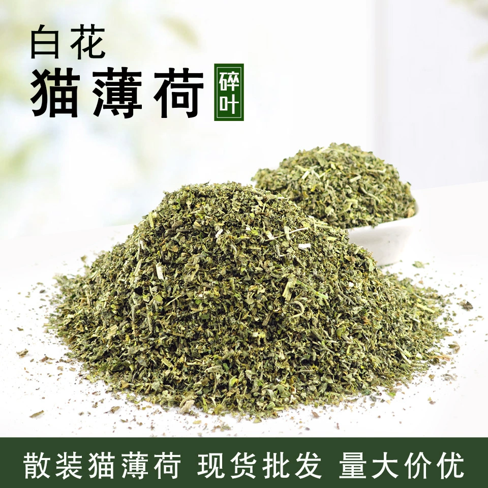 Кошка Мята Домашние принадлежности Белый цветок Мята Листья Сломанные Листья Заполненные Кошки Игрушки Кошки Сцепление Оптовые Кошки Привет