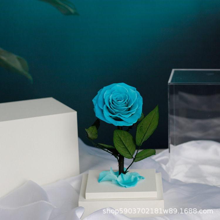 Regalo acrílico del Principito, rosa, Día de San Valentín, regalo de cumpleaños para niña, flor eterna, arte de flor eterna terminado