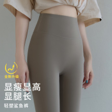 鲨鱼裤2024新款女亮色外穿高腰显瘦收腹提臀骑行裤瑜伽健身打底裤