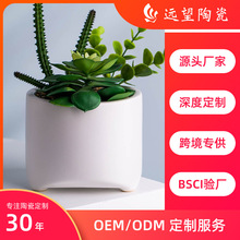 ӆDIY White Succulent Planter PotsС̖srG}Nֲ