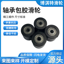 供应POM低噪耐磨包胶滑轮门窗移门注塑滚轮轨道工业包胶轴承