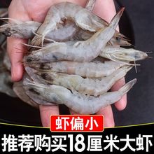 基围虾好评榜第十名新捕捞青岛大虾鲜冻鲜活海鲜水产青虾白批发