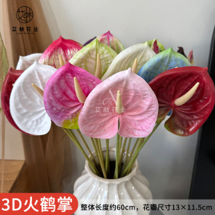 3D���Q���¿�����ָл��Z�Ʒ��滨ֲ���c���Ļ�Y�bٻ��廨