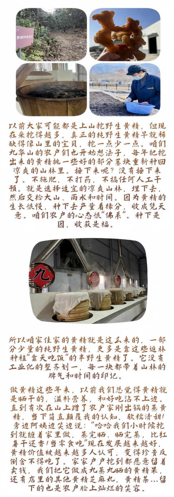 Premium Nine-Steamed Nine-Sun-Dried Huang Jing Whole Roots 500g Jiuhuashan Polygonatum specifications